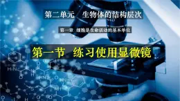 2.1.1 练习使用显微镜-【新课标】2023-2024学年七年级生物上册精选课件（人教版）