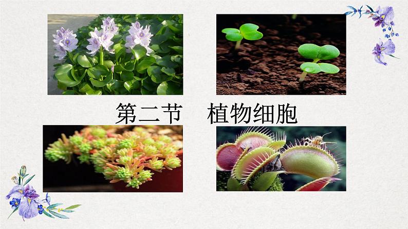 2.1.2植物细胞-课件第1页