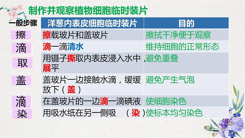 2.1.2植物细胞-课件第7页