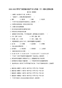广西贵港市桂平市2022-2023学年七年级下学期期末生物试卷（含答案）