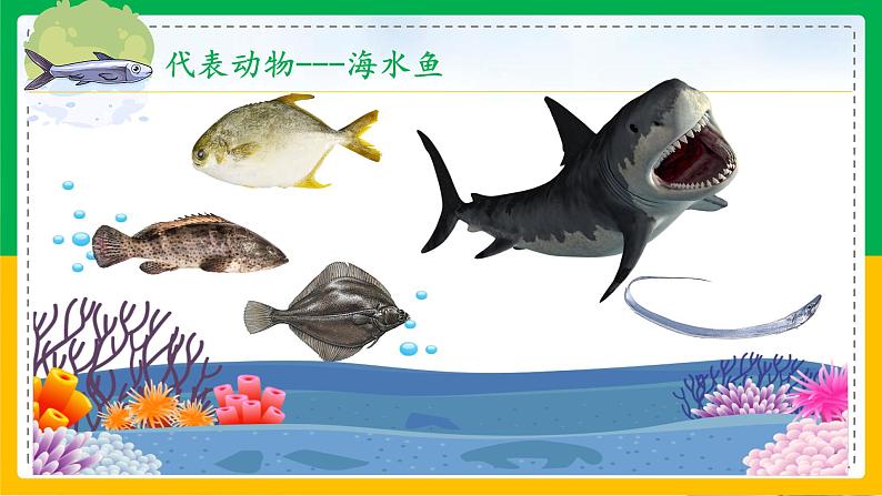 5.1.4鱼(课件)05