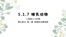 5.1.7哺乳动物-课件