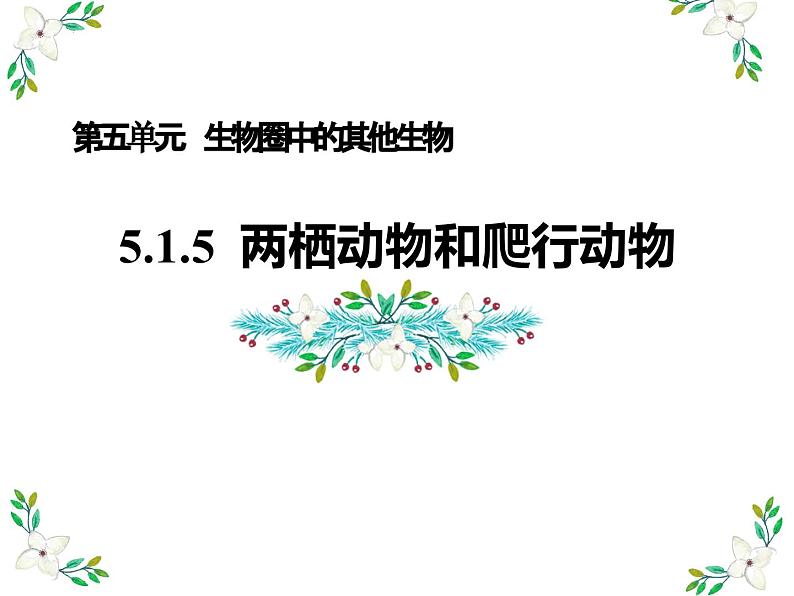5.1.5两栖动物和爬行动物-课件第1页