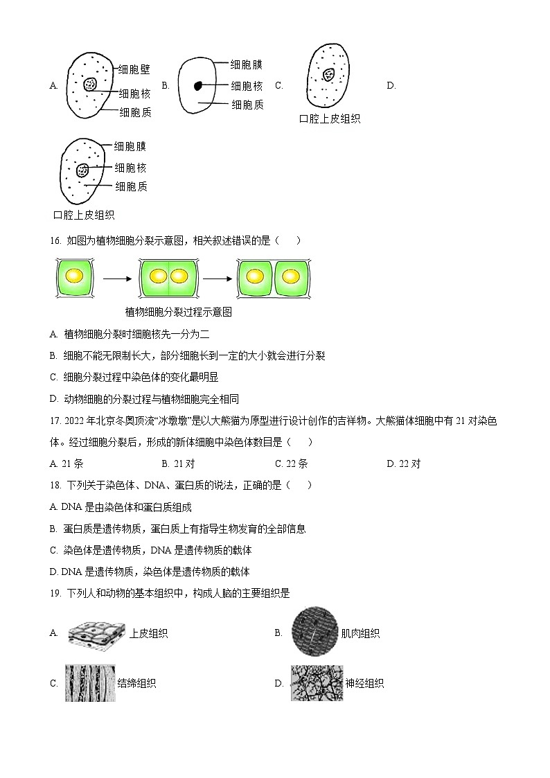 山西省太原市实验中学2022-2023学年七年级上学期期中生物试题03