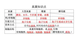 5.4.4细菌和真菌在自然界中的作用课件