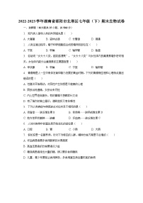 湖南省邵阳市北塔区2022-2023学年七年级下学期期末生物试卷（含答案）
