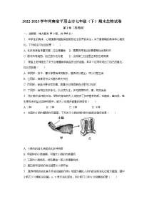 2022-2023学年河南省平顶山市七年级（下）期末生物试卷（含解析）