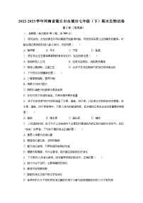 2022-2023学年河南省商丘市永城市七年级（下）期末生物试卷（含解析）