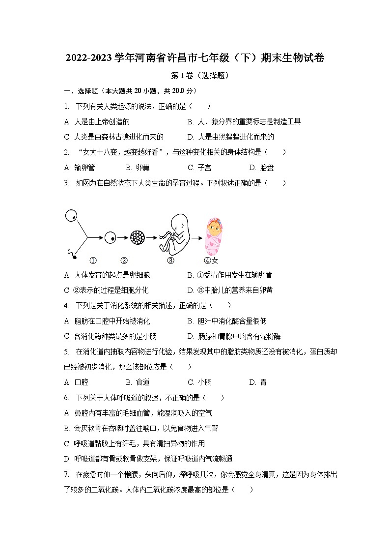 2022-2023学年河南省许昌市七年级(下)期末生物试卷(含解析)第1页