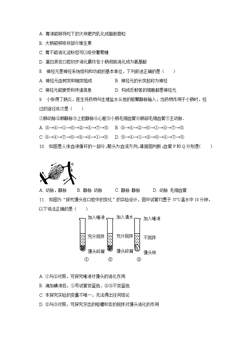 2022-2023学年湖南省衡阳市衡山县七年级(下)期末生物试卷(含解析)02