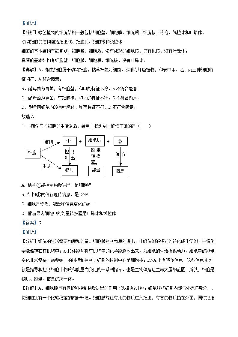 湖北省宜昌市中考生物真题(解析版)第3页