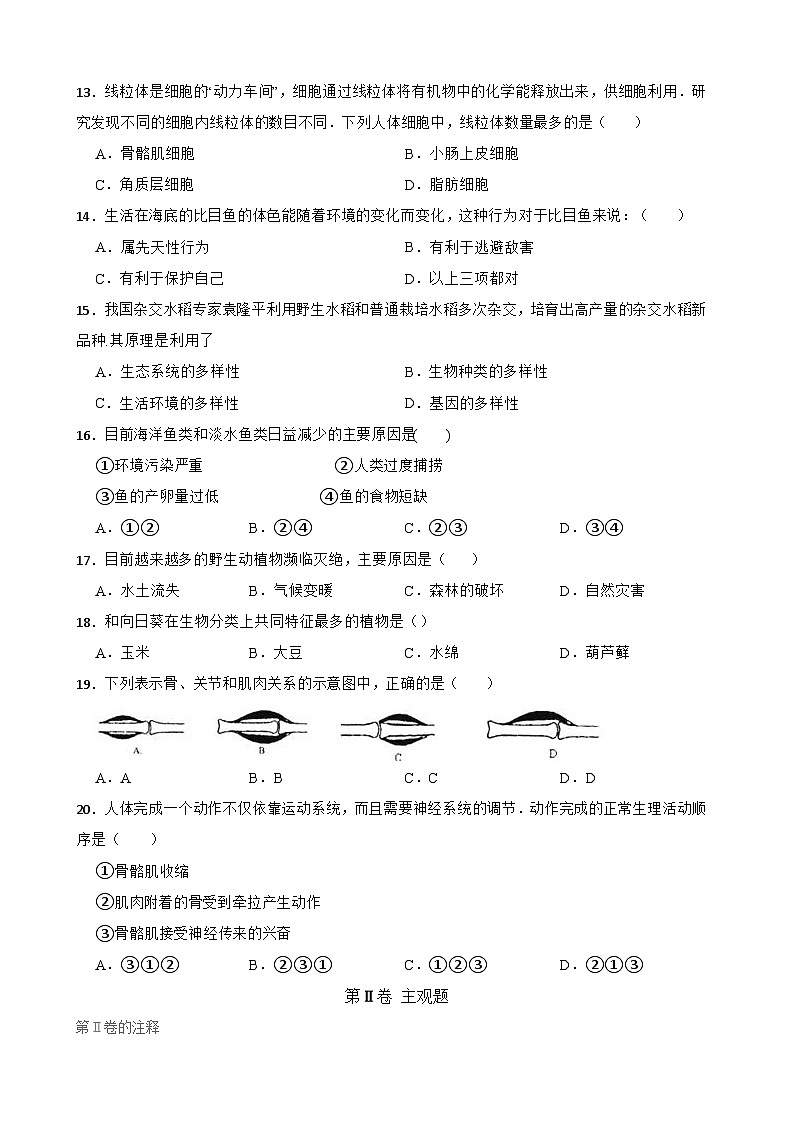【阶段测试】人教版生物八年级上册--期末测试题一(含解析)第3页