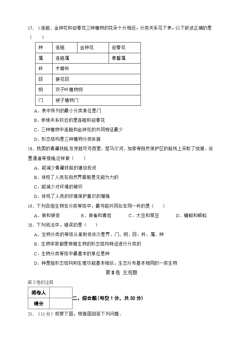 人教版生物八年级上册--第6单元生物的多样性及其保护 检测题(含解析)03