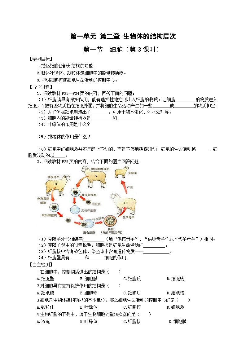 冀少版 初中生物 七年级上册 1.2.1细胞(3)(学案)01
