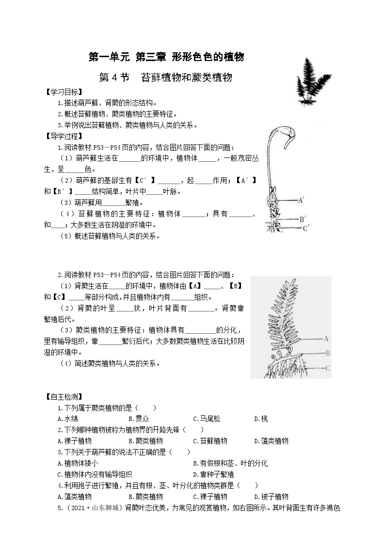 冀少版 初中生物 七年级上册 1.3.4苔藓植物和蕨类植物（学案）