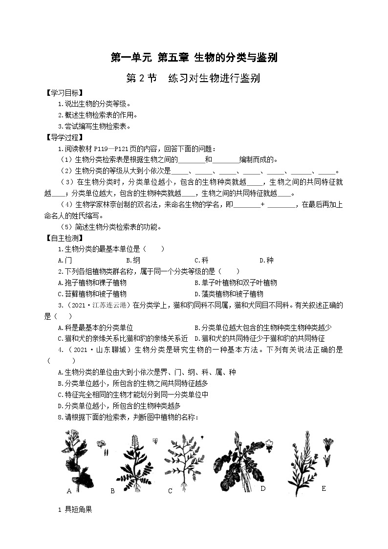 冀少版 初中生物 七年级上册 1.5.2练习对生物进行鉴别（学案）01