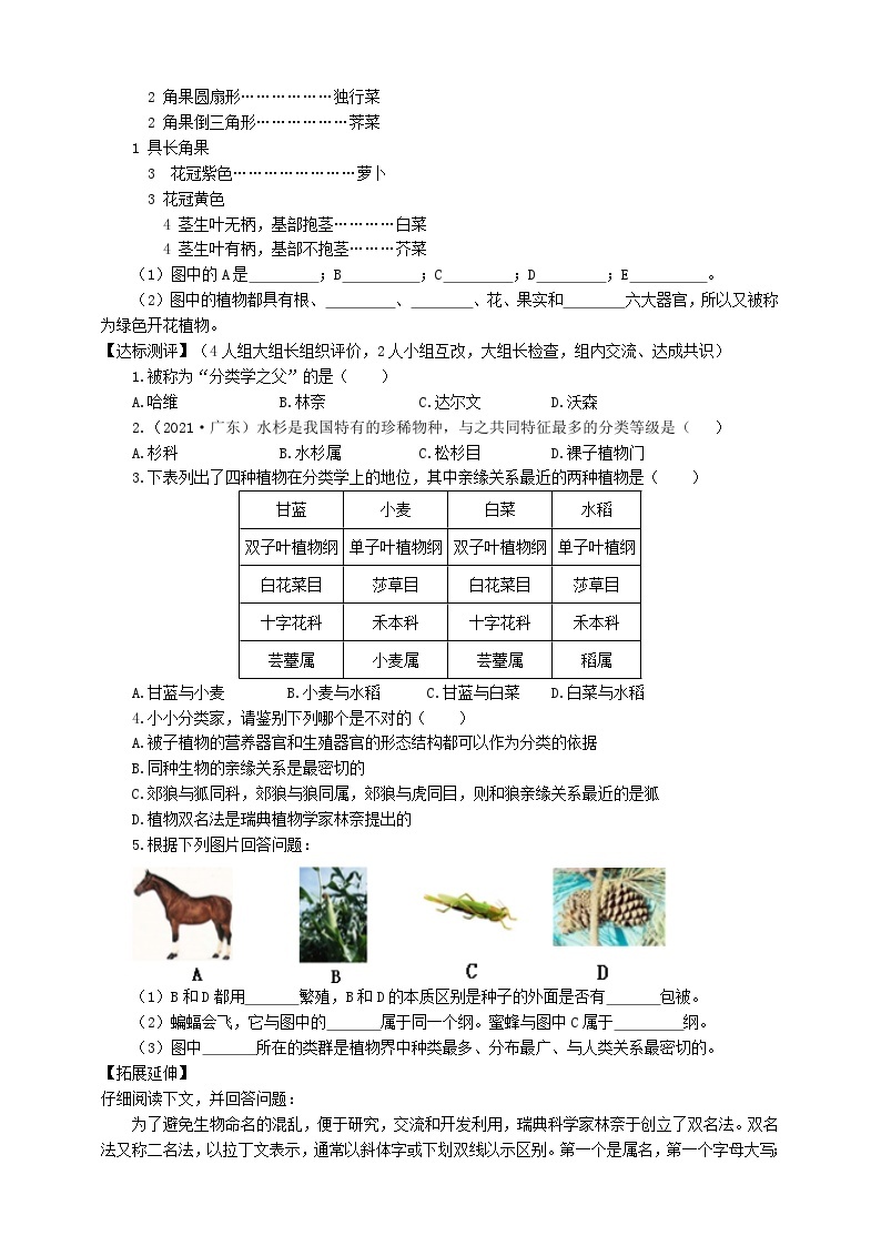 冀少版 初中生物 七年级上册 1.5.2练习对生物进行鉴别（学案）02