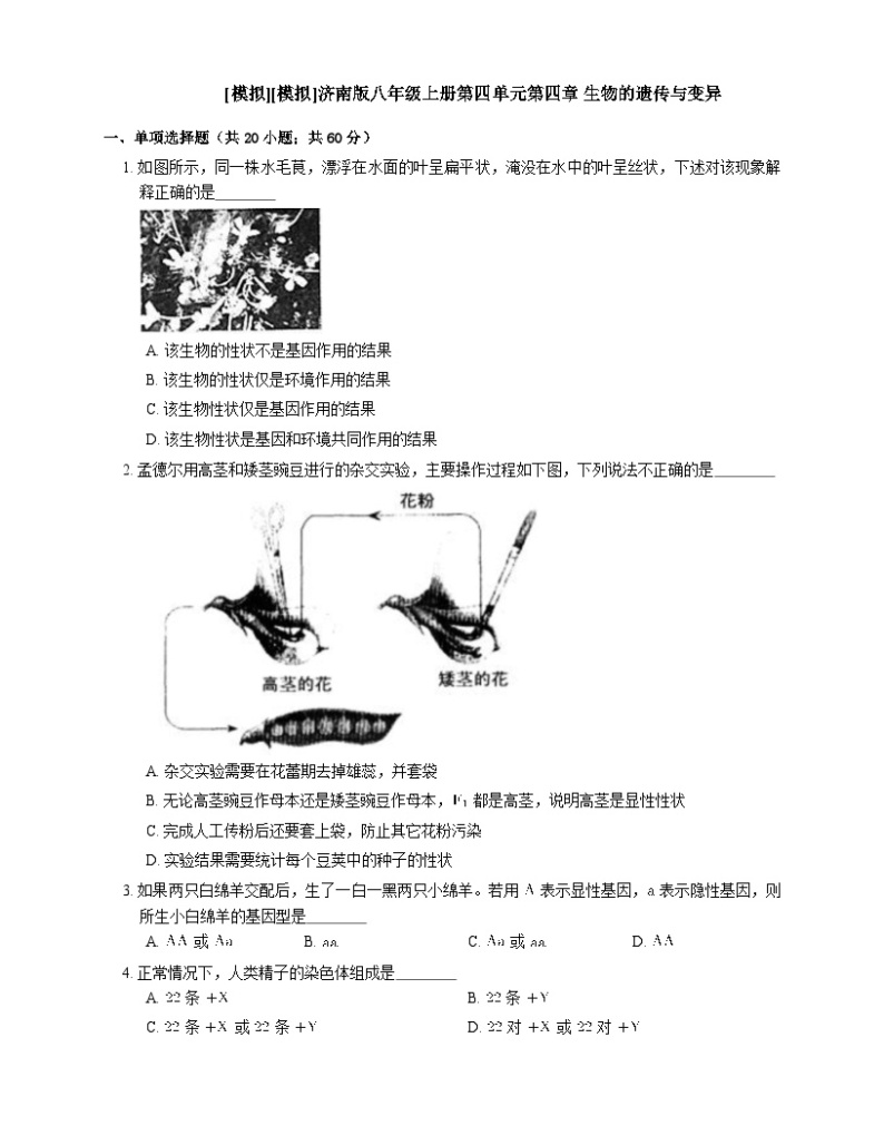 济南版 生物八年级上册 第四单元第四章生物的遗传与变异 单元测试卷   (word版，含答案解析）01