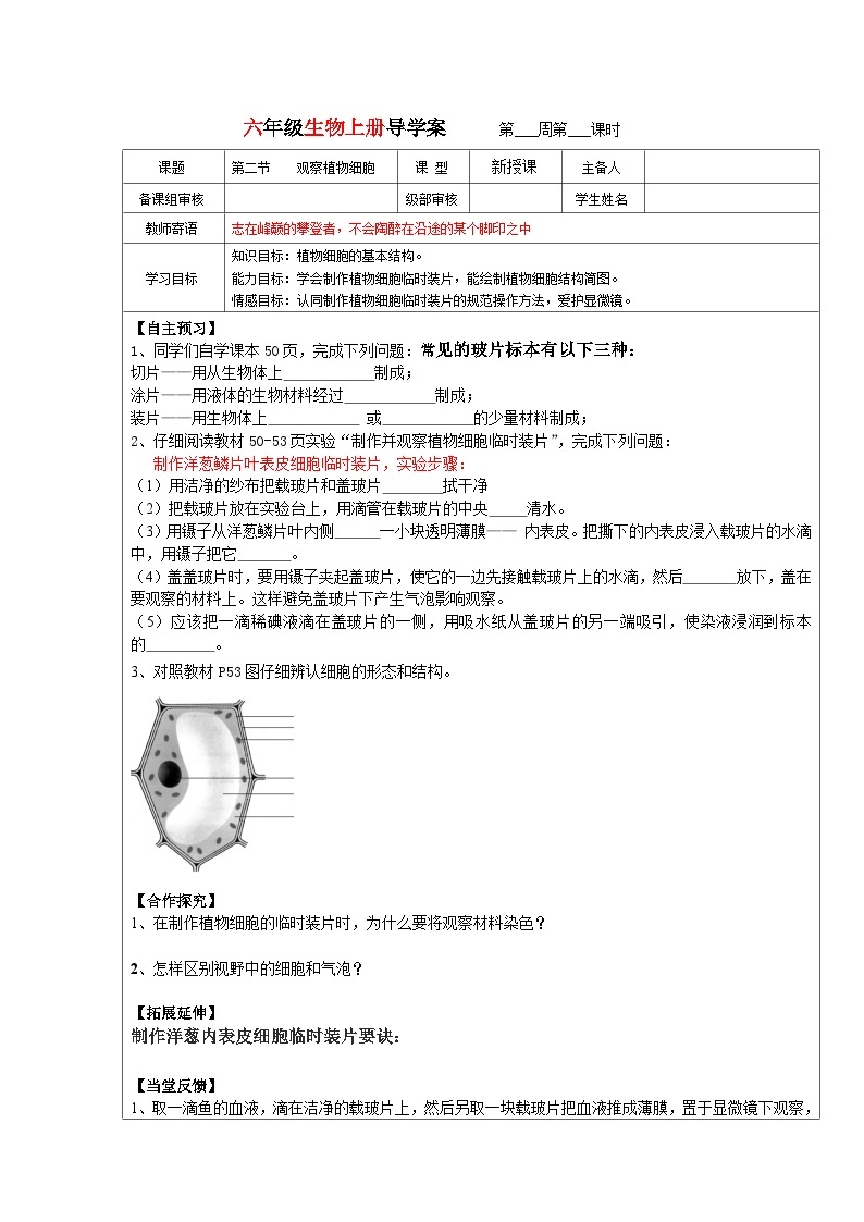 鲁科版（五四制）生物六年级上册 2.1.2观察植物细胞导学案（无答案）01