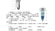 生物冀少版第一节  根的生长优秀学案