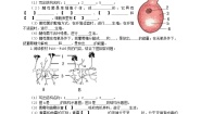 冀少版八年级上册第一节 酵母菌和霉菌优质导学案及答案