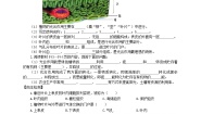 冀少版八年级上册第三单元  植物的生活第三章  叶的光合作用第三节 光合作用的场所优秀练习题