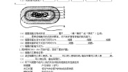 初中生物冀少版八年级上册第一节 细菌精品巩固练习