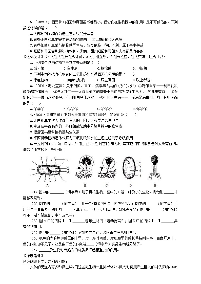 冀少版 生物八年级上册 5.4微生物在生物圈中的作用第2页