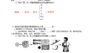 生物第三节 多细胞生物体优秀课后练习题