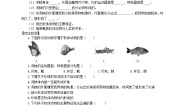 生物七年级上册第一单元  我们身边的生命世界第四章 多种多样的动物第四节 软体动物优秀一课一练