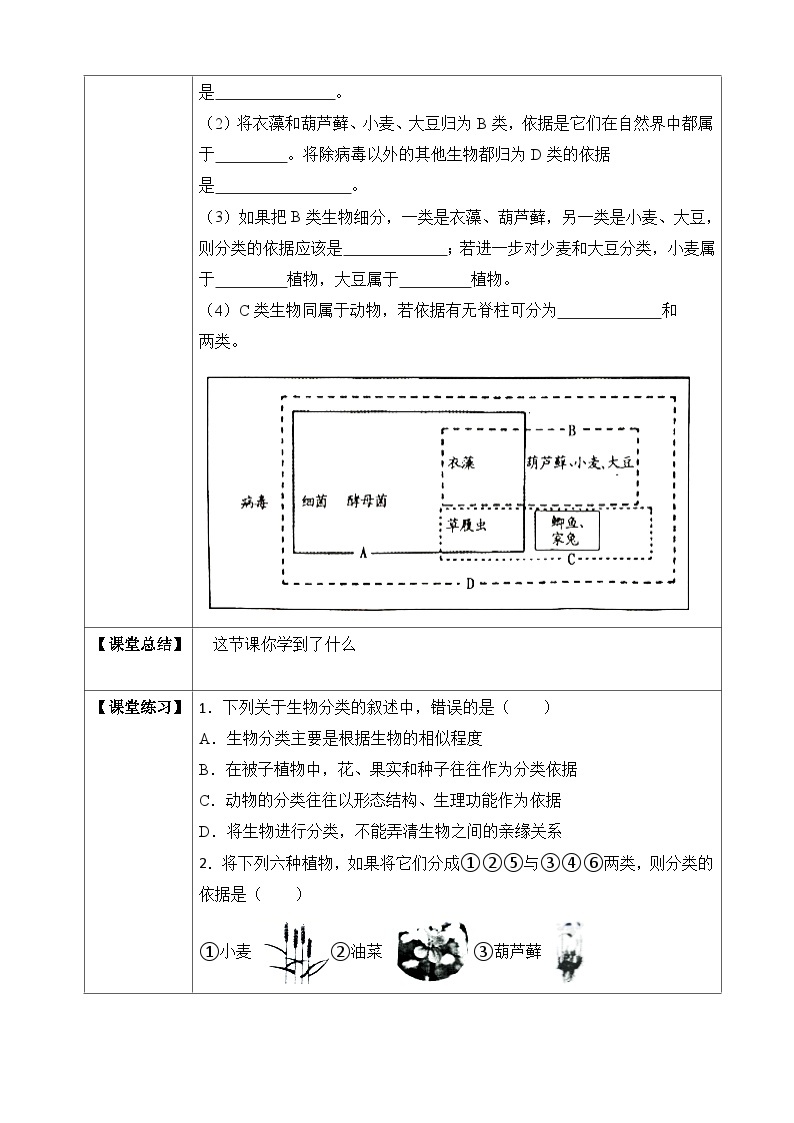 【济南版】生物 七年级上册 2.4.1 生物的分类方法（含答案） 试卷02