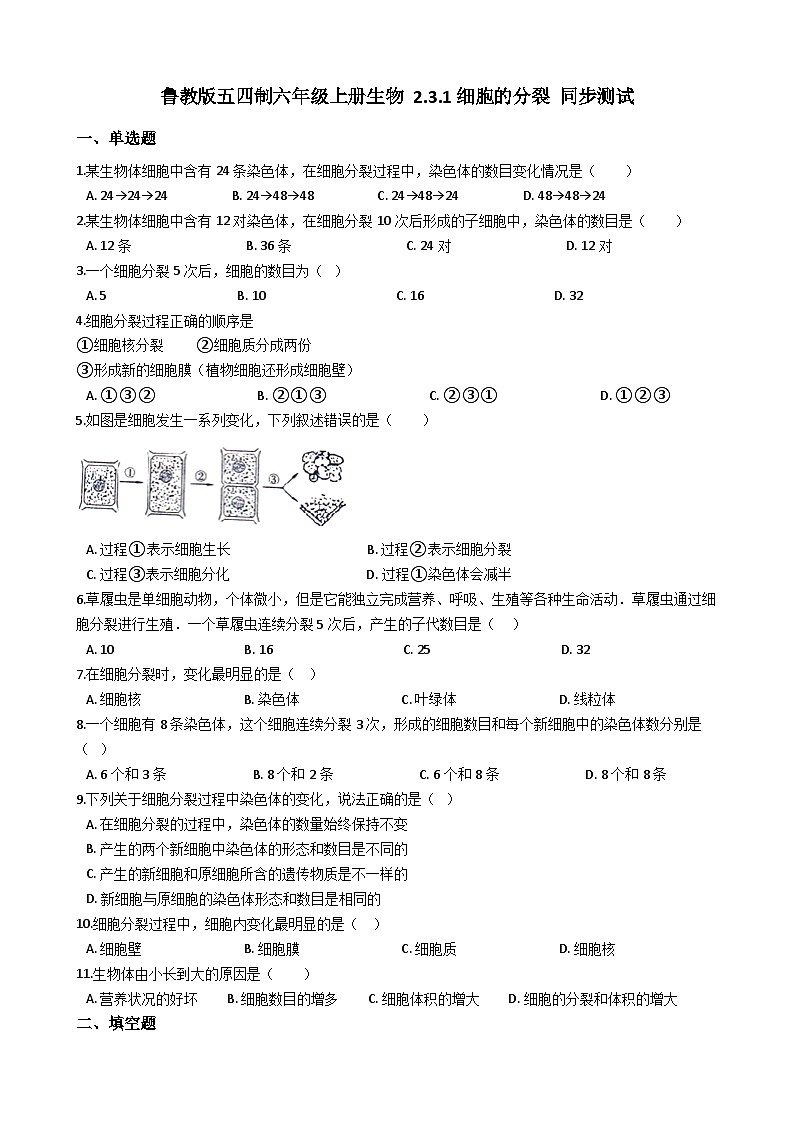 鲁教版(五四制)生物六年级上册 2.3.1 细胞的分裂 同步测试(含解析)01