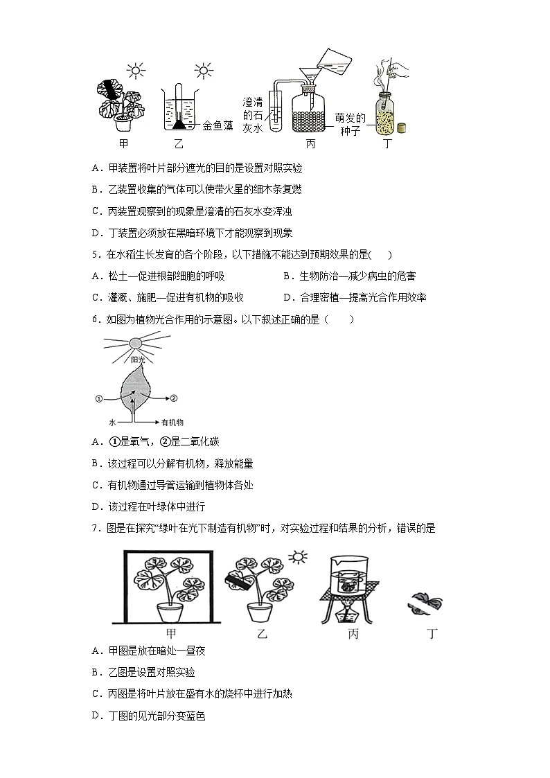 冀少版 初中生物 八年级上册 第三单元 第三章 叶的光合作用 提升练习 (word版 含解析)02