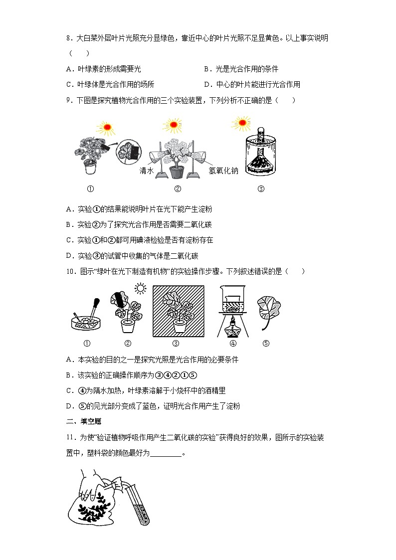 冀少版 初中生物 八年级上册 第三单元 第三章 叶的光合作用 提升练习 (word版 含解析)03