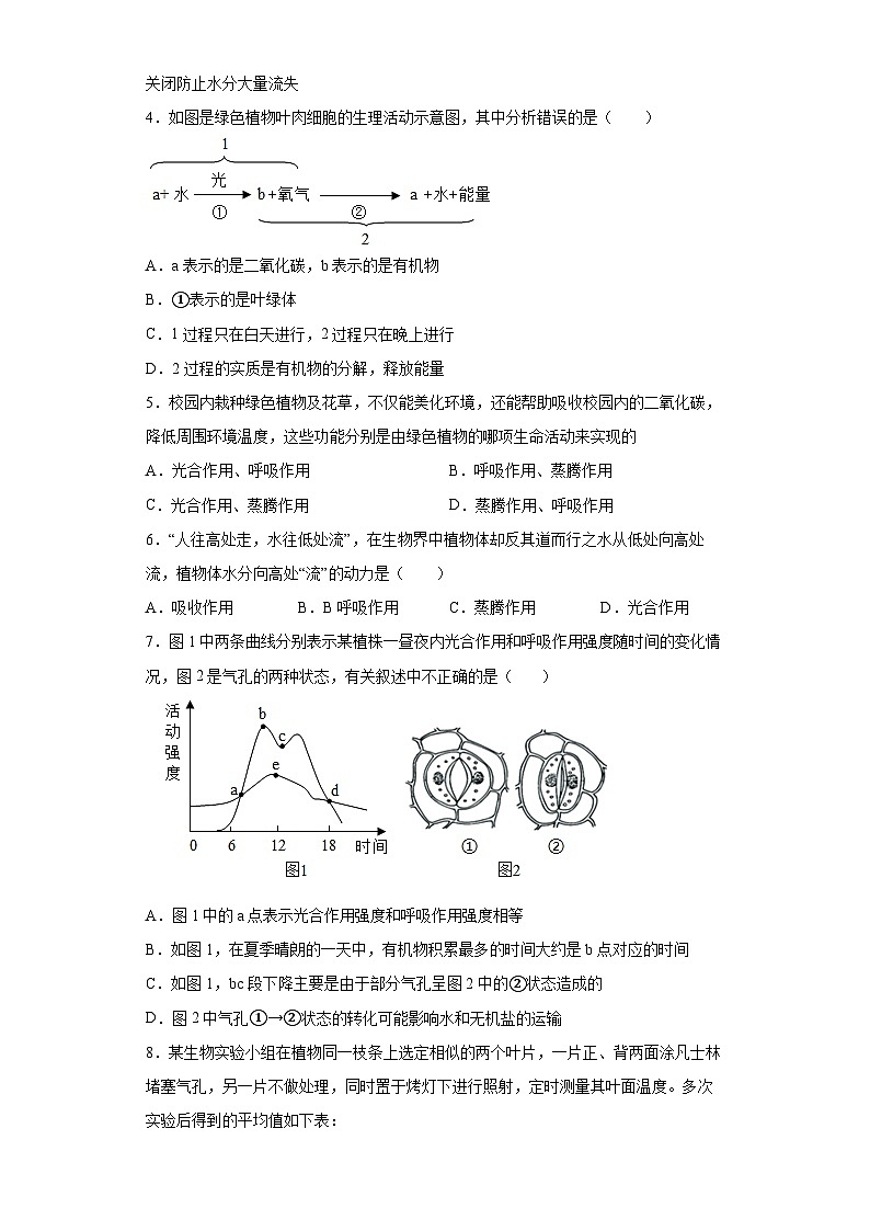 冀少版 初中生物 八年级上册 第三单元 第四章 呼吸作用和蒸腾作用 提升练习 (word版 含解析)02
