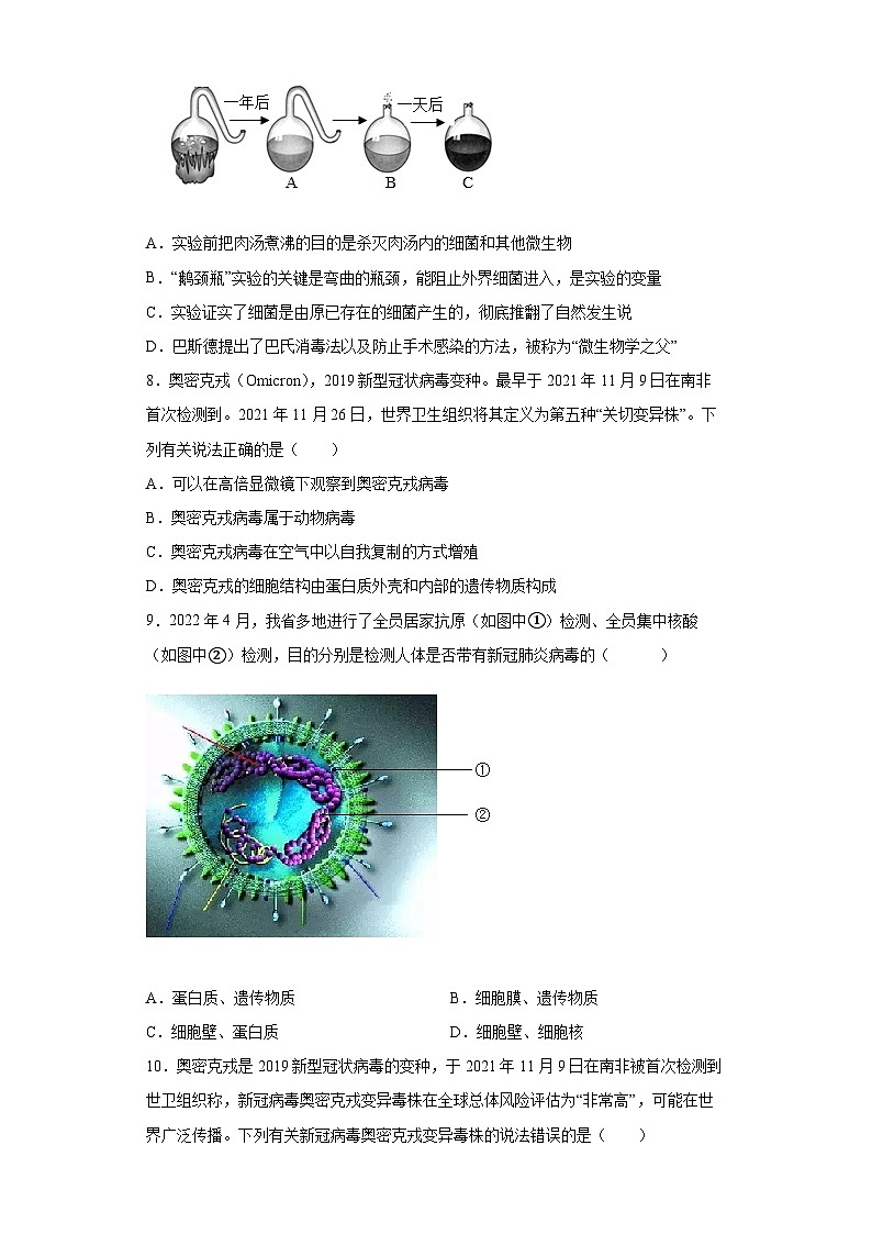 冀少版 生物 八年级上册 第5单元 第1章 细菌和病毒 提升练习(word版 含解析)02