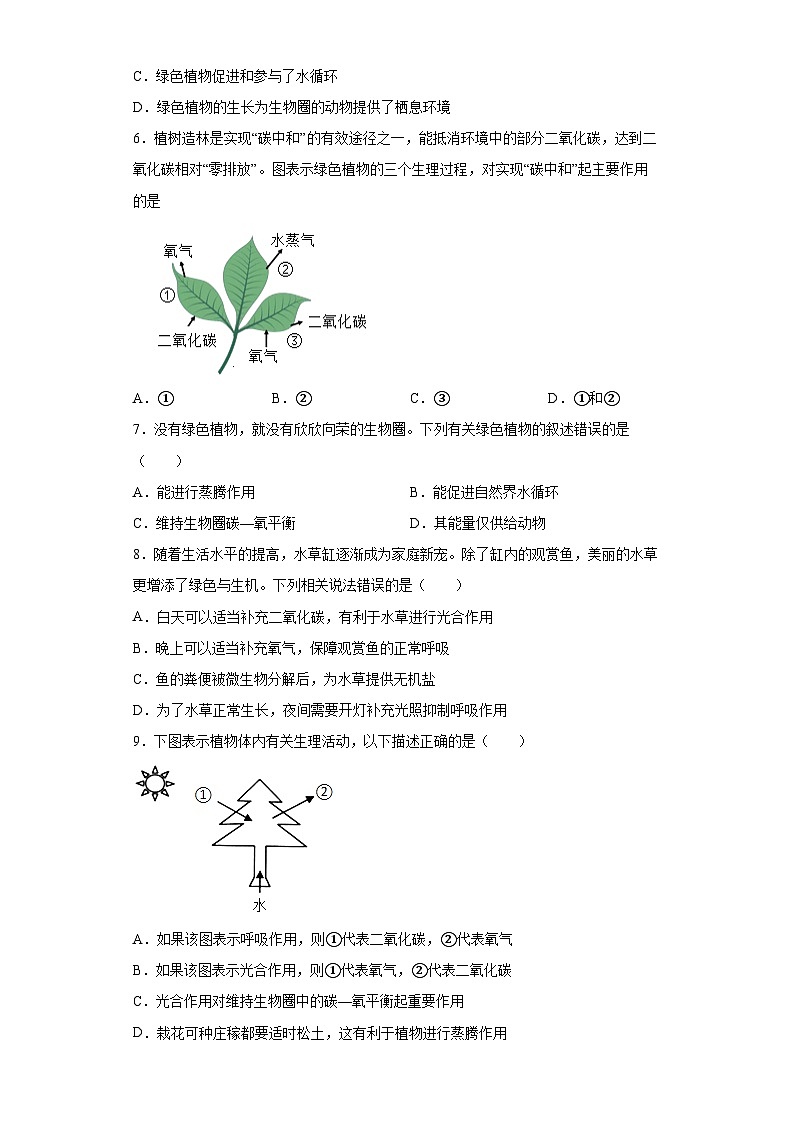 冀少版 生物 八年级上册 第三单元 第五章 绿色植物在生物圈中的作用 精品练习 (word版含答案)02