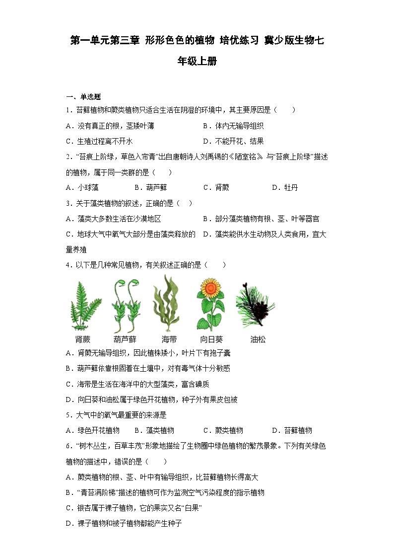 【 冀教版】生物七年级上册 第一单元第三章 形形色色的植物 培优练习（含答案）01
