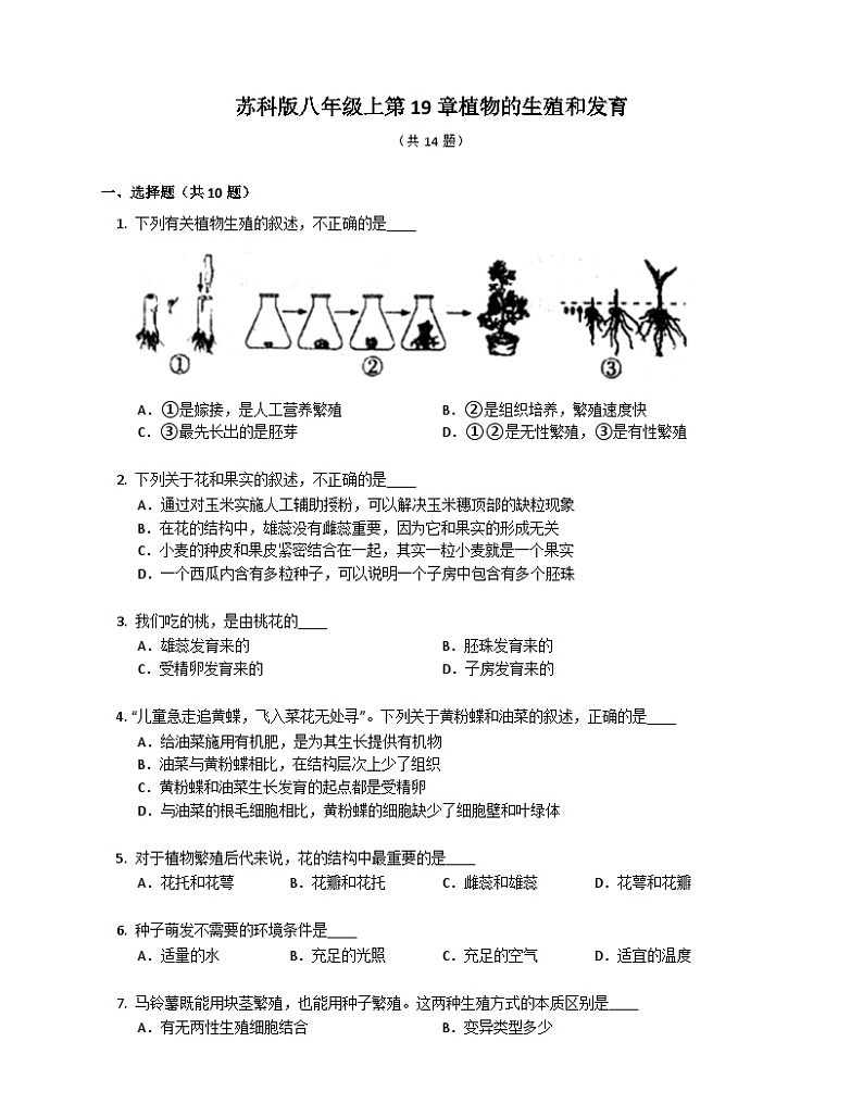(苏科版)生物 八年级上册 第19章植物的生殖和发育同步练习(含答案)01