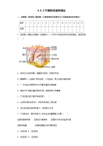 鲁科版 (五四制)七年级上册第四单元 生物圈中的人第五章 人体内废物的排出第二节 汗液的形成和排出精品复习练习题