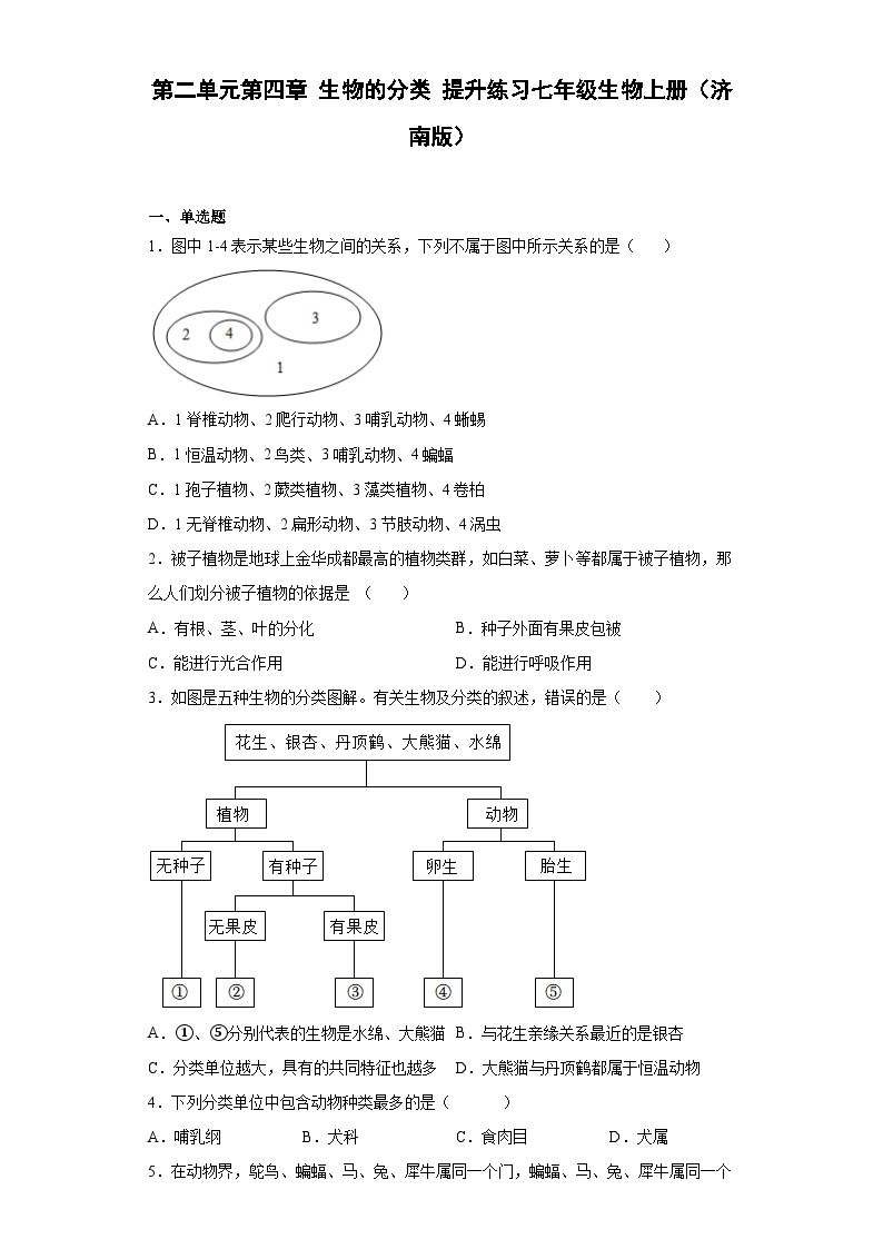 【济南版】 生物 七年级上册第二单元第四章 生物的分类 提升练习(word版含答案）01