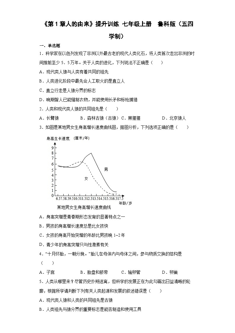 【鲁科版(五四学制)】 生物 七年级上册 第1章 人的由来 提升训练 (word版 含答案)01