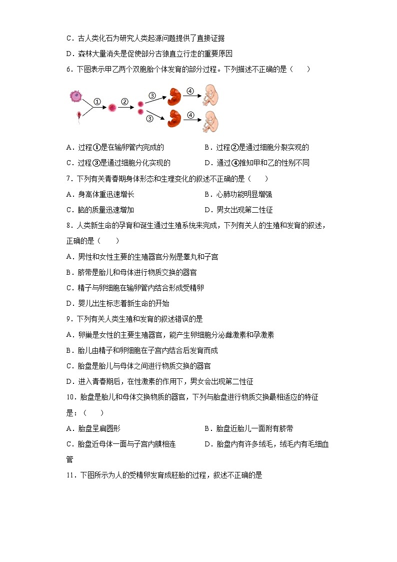 【鲁科版(五四学制)】 生物 七年级上册 第1章 人的由来 提升训练 (word版 含答案)02