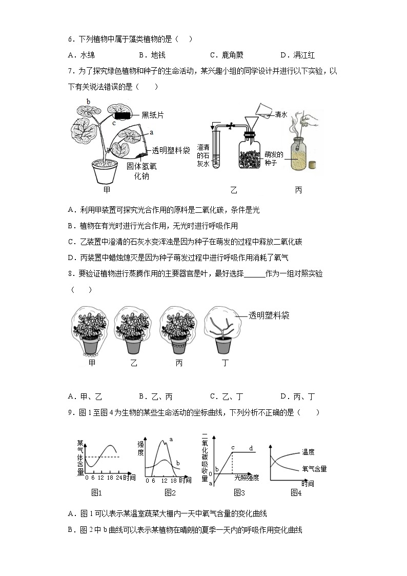 济南版 初中生物 七年级上册 第二单元第1章 生物圈中的绿色植物 提升练习(word版含答案）02