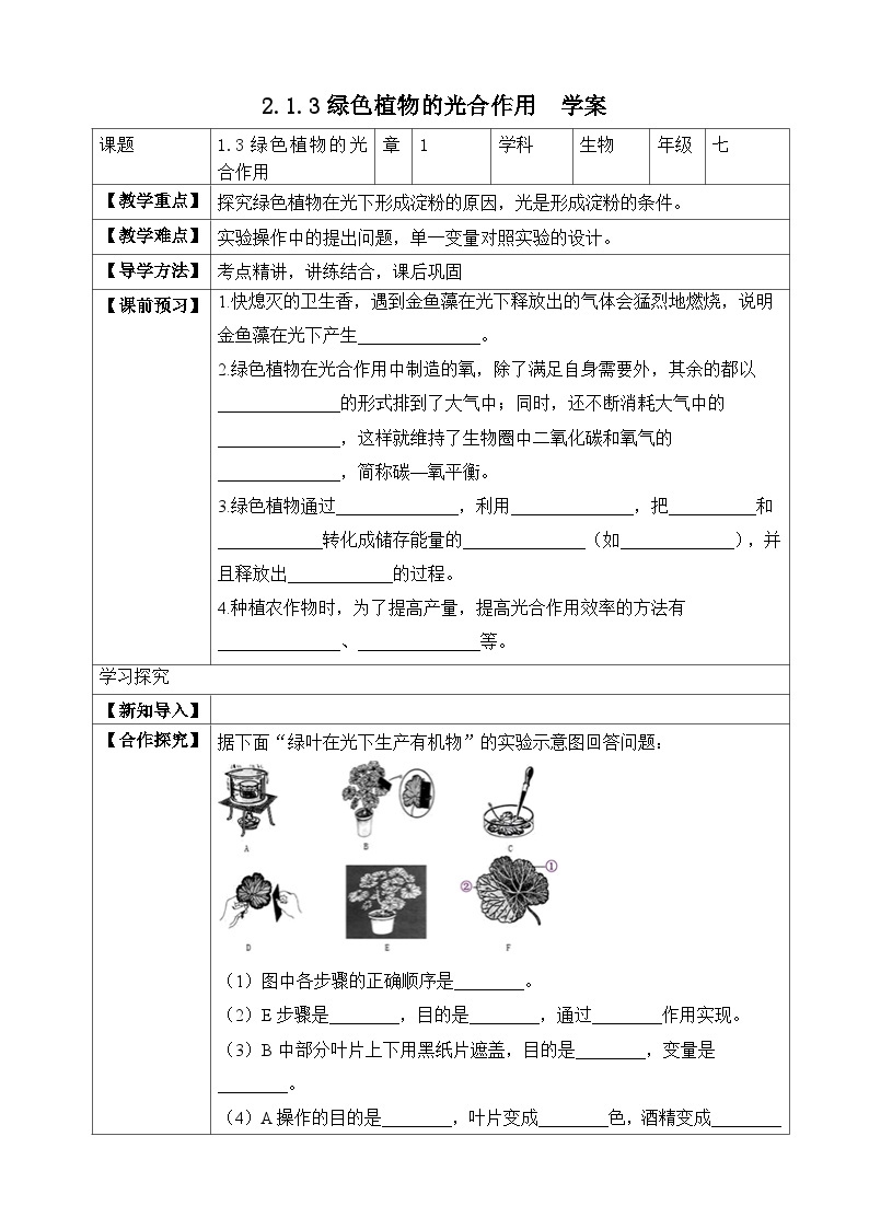 济南版 初中生物 七年级上册 2.1.3 绿色植物的光合作用-同步学案（含答案）01