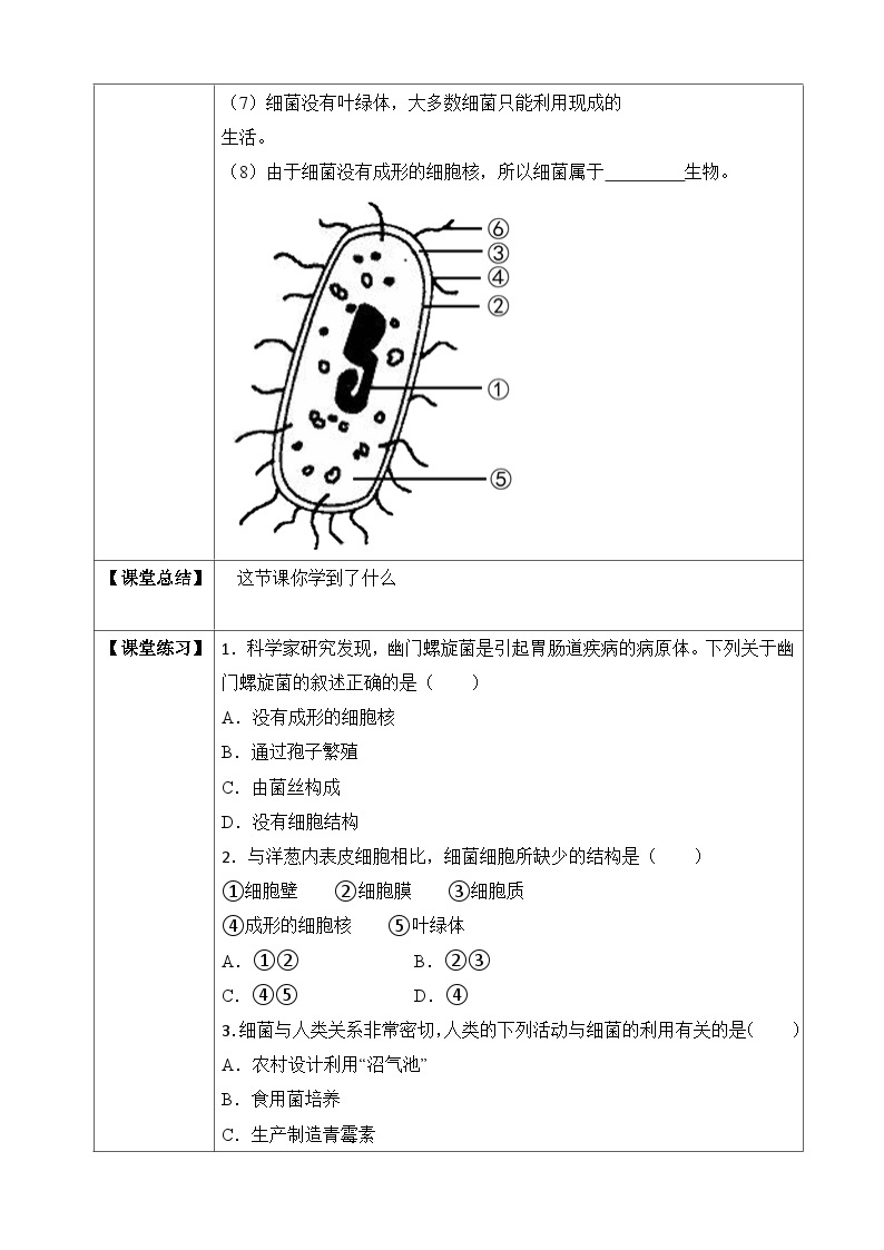 济南版 初中生物 七年级上册 2.3.2 细菌-同步学案（含答案）02