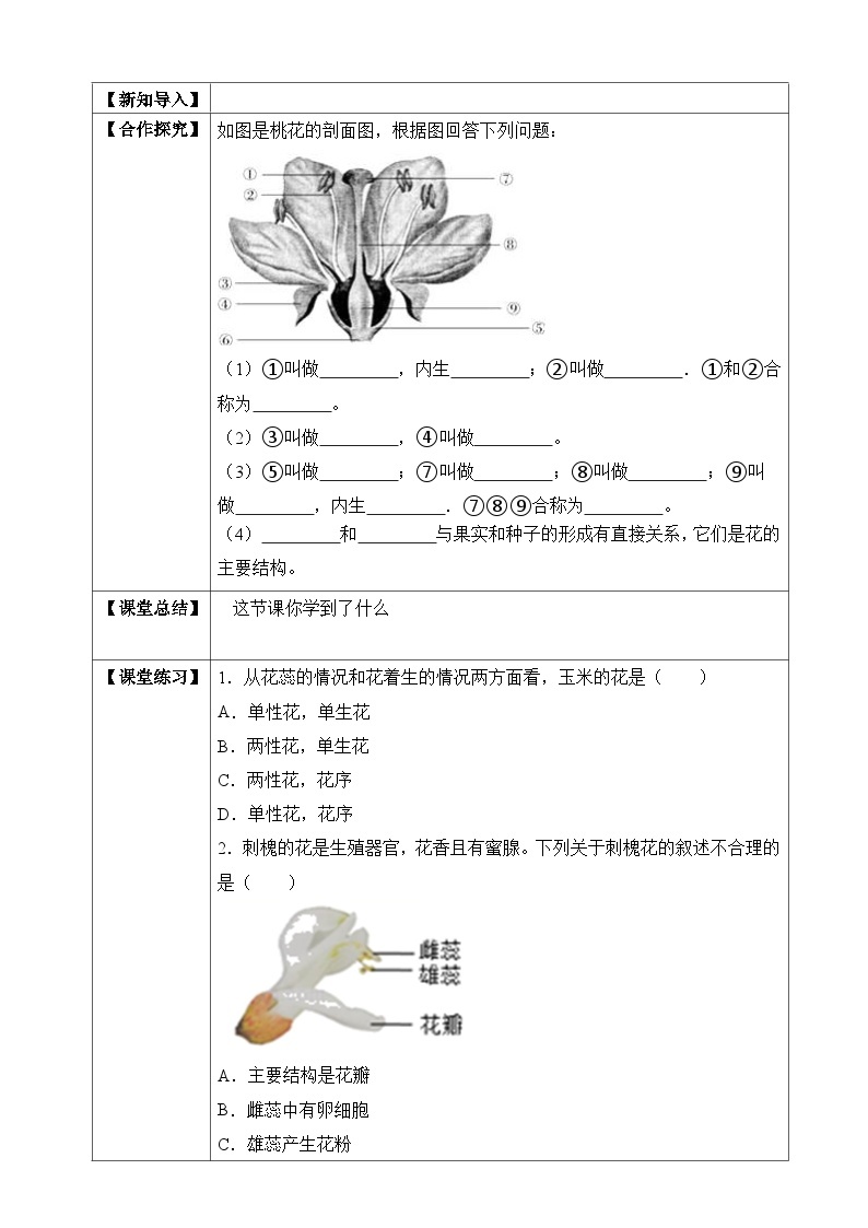 济南版 初中生物 八年级上册 4.1.1 花的结构和类型 学案（含答案）02