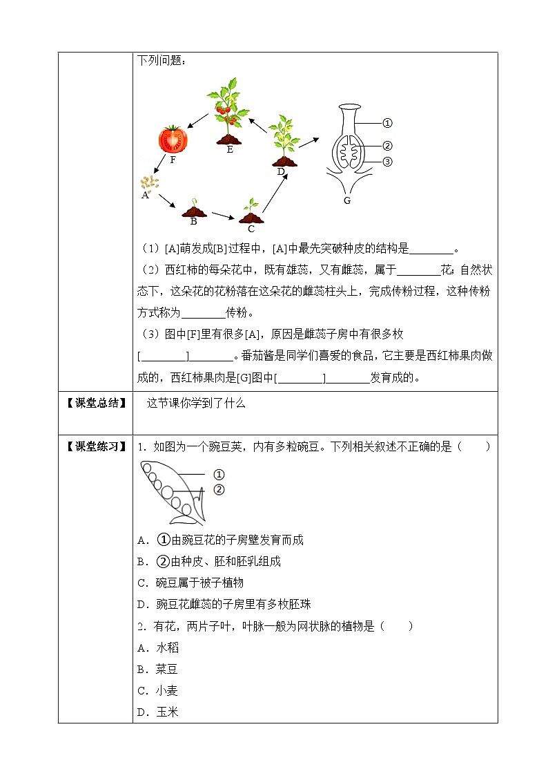 济南版 初中生物 八年级上册 4.1.3 果实和种子的形成 学案(含答案)第2页