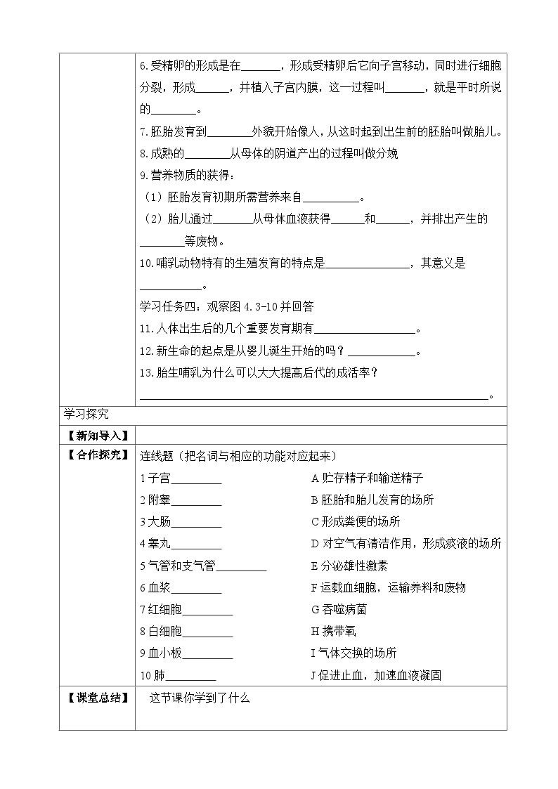 济南版 初中生物 八年级上册 4.3.1 婴儿的诞生 学案（含答案）02