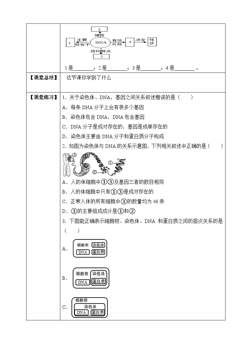济南版 初中生物 八年级上册 4.4.1 遗传的物质基础 学案(含答案)02